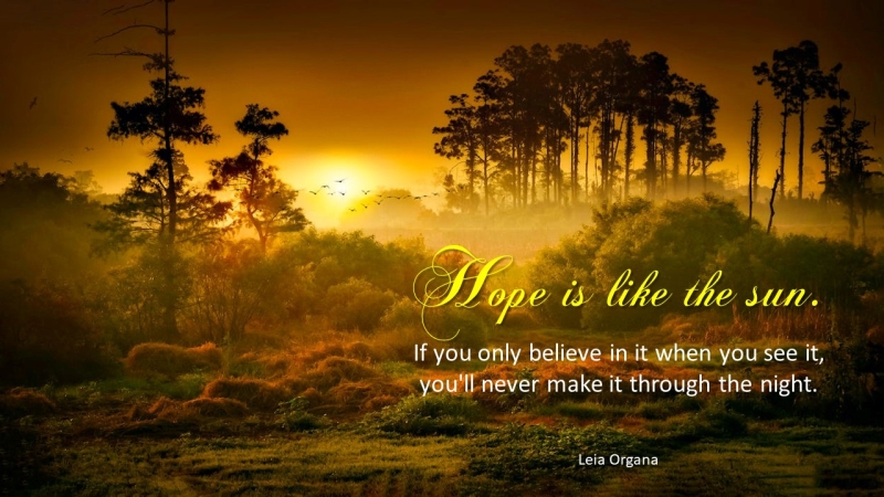 Hope: The Light That Guides Us Through Dark Times
