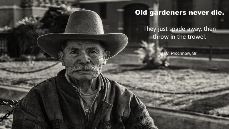 Cultivating Personal Growth: Lessons from Old Gardeners