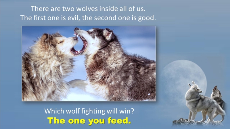 Embrace the Power Within: Feeding the Right Wolf