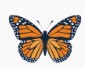 butterfly icon